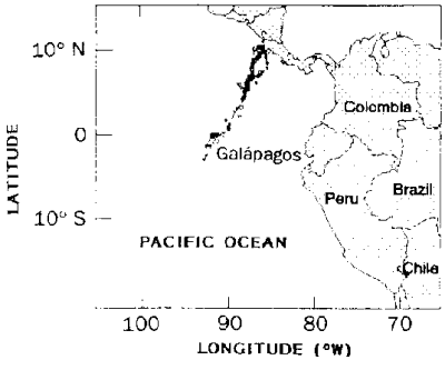 Routes taken by migrating leatherback turtles