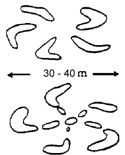 Phosphorescent boomerang shapes in the Arabian sea