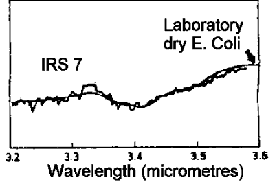 Spectrum of GC-IRS6, similar to the spectrum of E. Coli