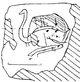 Prehistory sketch showing an ostrich carrying a human rider?