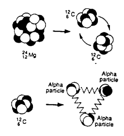 Possible 'nuclear-molecular' forms of magnesium-24 and carbon-12