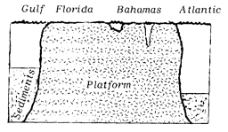 Florida-Bahamas carbonate platform
